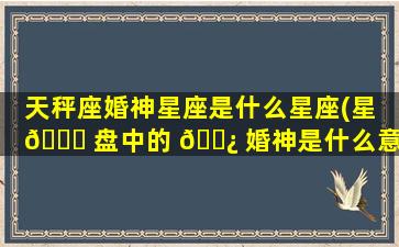 天秤座婚神星座是什么星座(星 🐟 盘中的 🌿 婚神是什么意思)